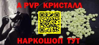 спайс Тара