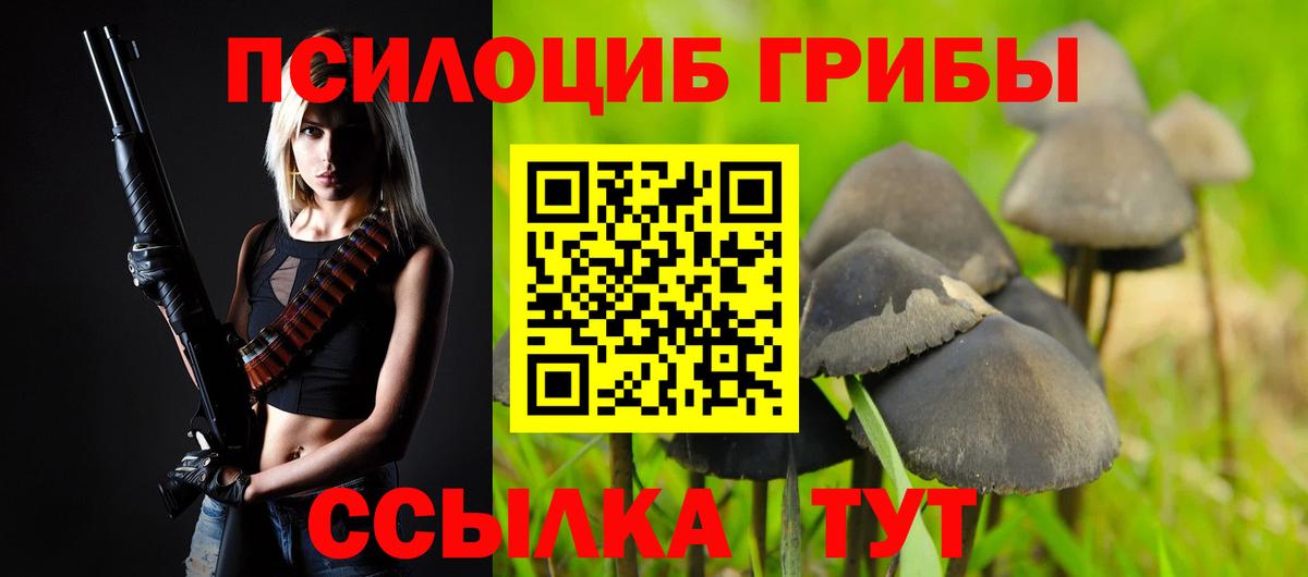Галлюциногенные грибы ЛСД Будённовск
