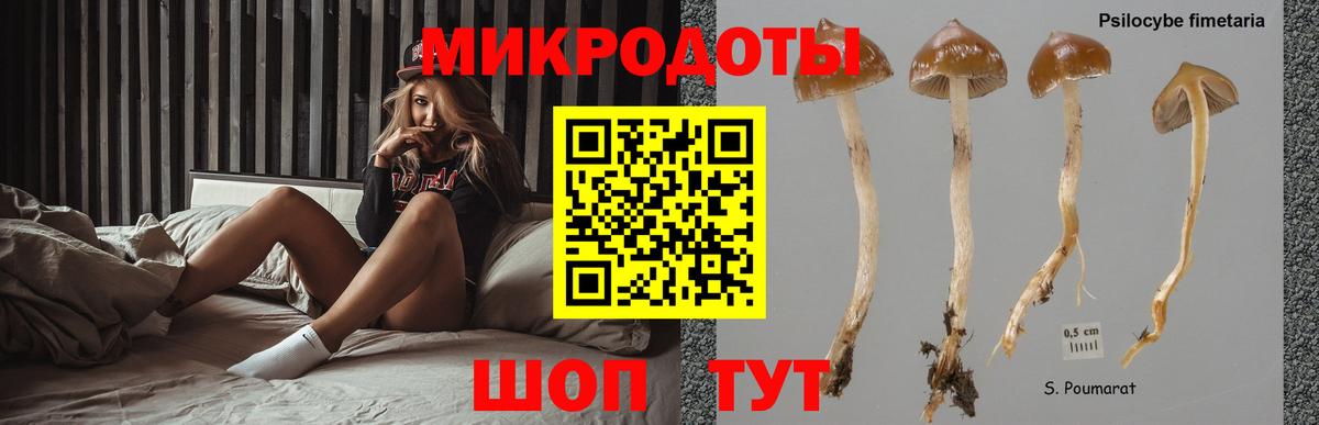 Псилоцибиновые грибы Magic Shrooms  Вход с VPN  Будённовск 