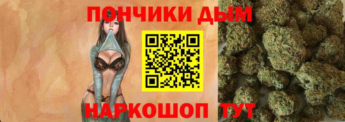 Конопля планчик Будённовск
